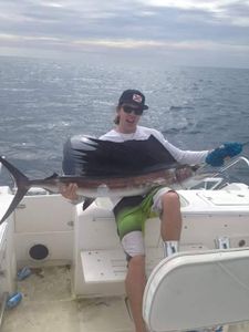 Atlantic Sailfish caught fishing in FL