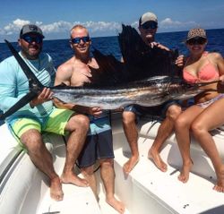 Atlantic Sailfish, 49-inch fish caught while fishing in Fort Pierce