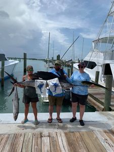 Two king mackerel, each measuring 27 inches, caught while fishing in FL.
