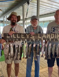 10 rainbow trout and coho salmon caught while fishing in MO