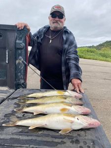 3 big fish caught while fishing in Branson