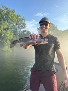 One rainbow trout caught in Branson