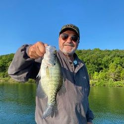 White crappie fish caught in Branson, Missouri