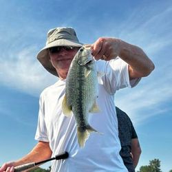 A person fishing in Branson