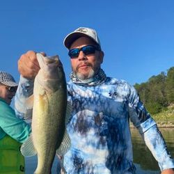 Largemouth Bass caught while fishing in Branson