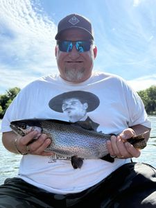 Rainbow Trout fish caught while fishing in MO