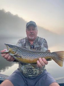 One sea trout fish caught in MO.