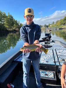 Sea Trout fishing in MO