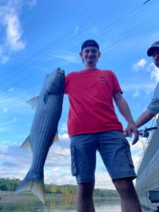 Striped bass caught in Branson