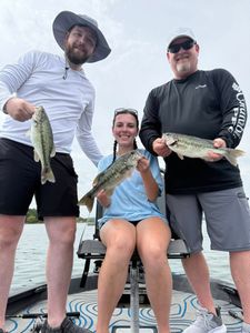 Three spotted bass caught on a fishing trip in Branson