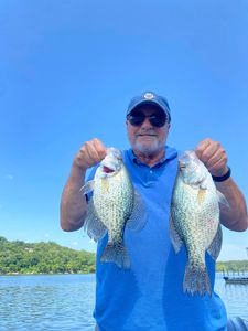 Two crappie fish caught in Branson