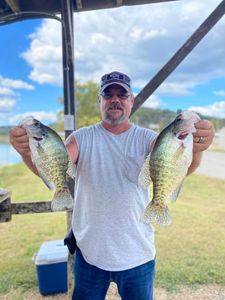 Two white crappie fish caught in Branson