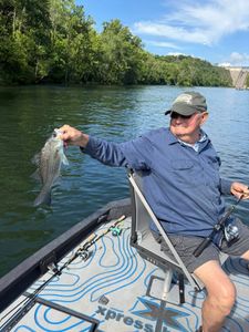 A white bass fish caught while fishing in Missouri
