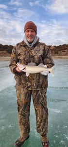 Anglers fishing at Academy