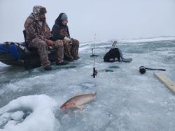 Two anglers with a large 24-inch fish catch in SD