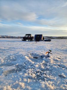 Best great fishing in SD