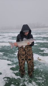 A photo of a blue catfish measuring 20 inches, caught while fishing at Academy
