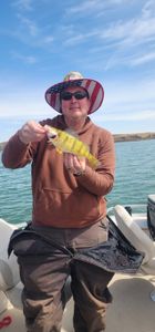 Lone angler fishing in SD