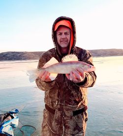 Fisherman with one 19-inch catch in Academy