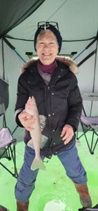 Sauger fish caught in SD during fishing