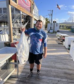 Photograph of a 23-inch African Pompano fish caught while fishing in Marathon, Florida.