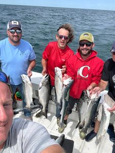 Six coho salmon caught during fishing tours in Marathon
