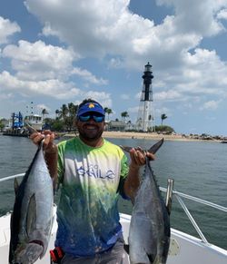 Two big fish caught in FL on fishing tours