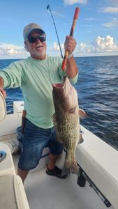 Gag grouper caught while fishing in FL