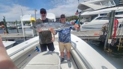 King Mackerel caught during fishing in Destin