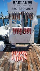 Three king mackerel caught while fishing in FL