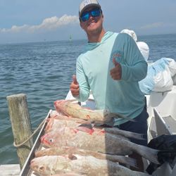 2 big fish caught while fishing in Holmes Beach