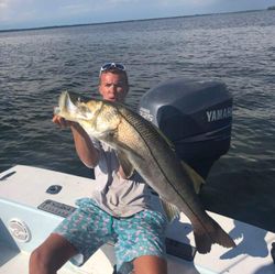 Snook Fishing in Holmes Beach, FL