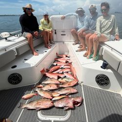 4 fish caught at Holmes Beach during fishing