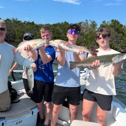 4 Spotted Weakfish, Redfish, and Spotted Weakfish caught while fishing in Holmes Beach