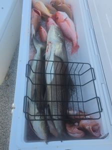 Two anglers fishing in Florida