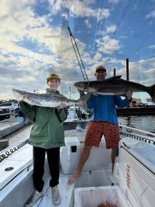 Two cobia fish caught by three people in FL