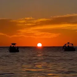 Holmes Beach Sunset and Dolphin Tours