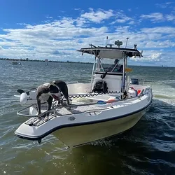 Bottom Fishing In Nearshore Waters, FL