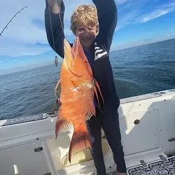 Hogfish Fishing in Holmes Beach, FL