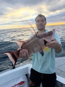 Angler in Florida fishing