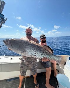 Gag grouper caught while fishing in FL