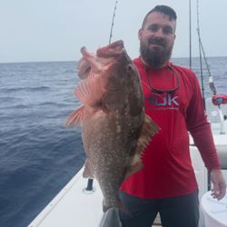 Red Grouper caught by fisherman in Holmes Beach