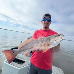 Redfish caught in FL by angler