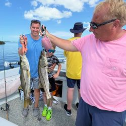 Two snook fish caught in FL