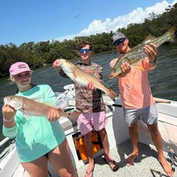3 redfish caught in Holmes Beach, Florida