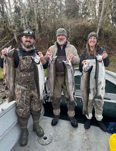 Cowlitz River Winter Steelhead