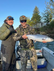 Cowlitz River Spring Chinook