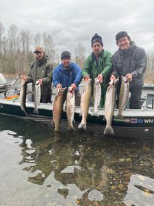 Fish-Species