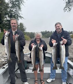 6 rainbow trout caught fishing in WA