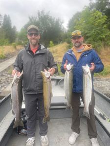4 rainbow trout caught while fishing in WA